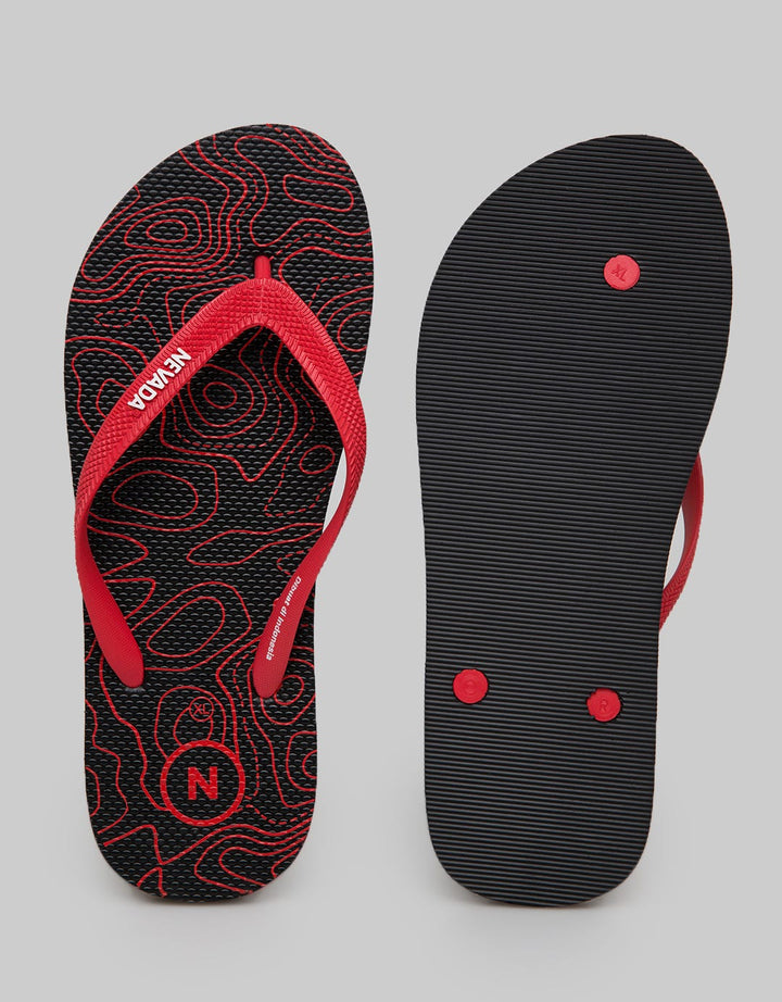 FLIP FLOPS ABSTRACT