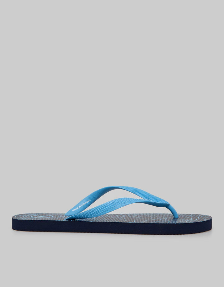 FLIP FLOPS ABSTRACT