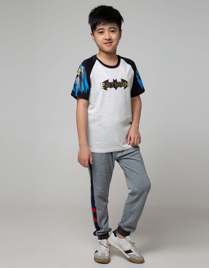 Batman Character Full Screen Printed Raglan T-Shirt