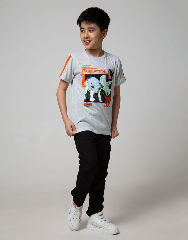 SS T-SHIRT PRINTNOFL