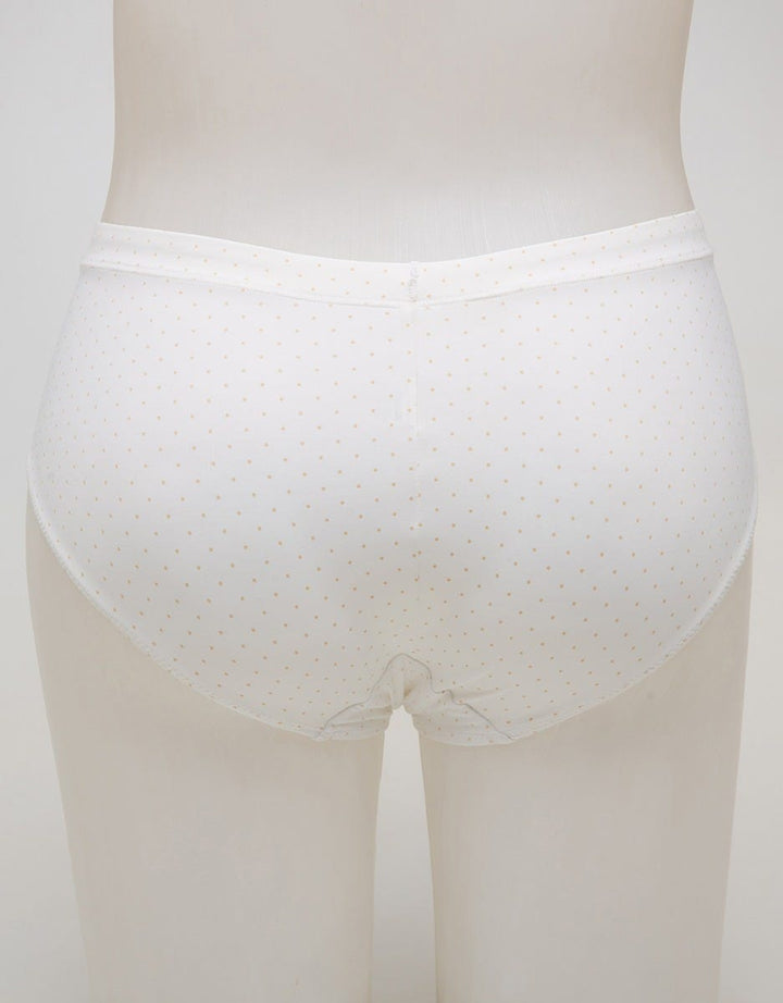 MIDI BRIEFS PRINT
