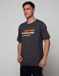 SS T-SHIRT BIG SIZE