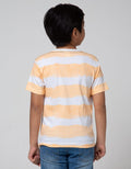 Little M Short Sleeve T-Shirt Fullprint Stripe Ombre Dino