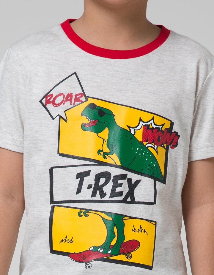 SS T-SHIRT PRINT DIN