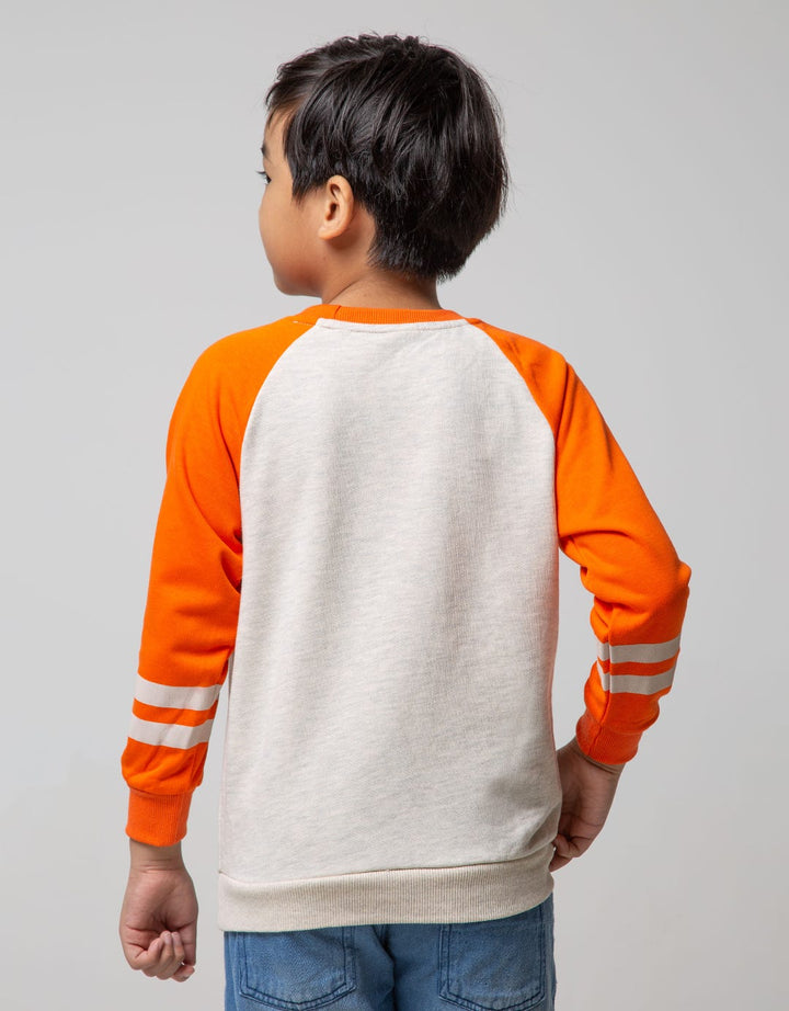 DINO EMBROIDERY SWEATER