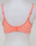 Nevada Sport Bra Plain Px Bra Sport01