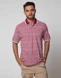 SS POLO SHIRT STRIPE