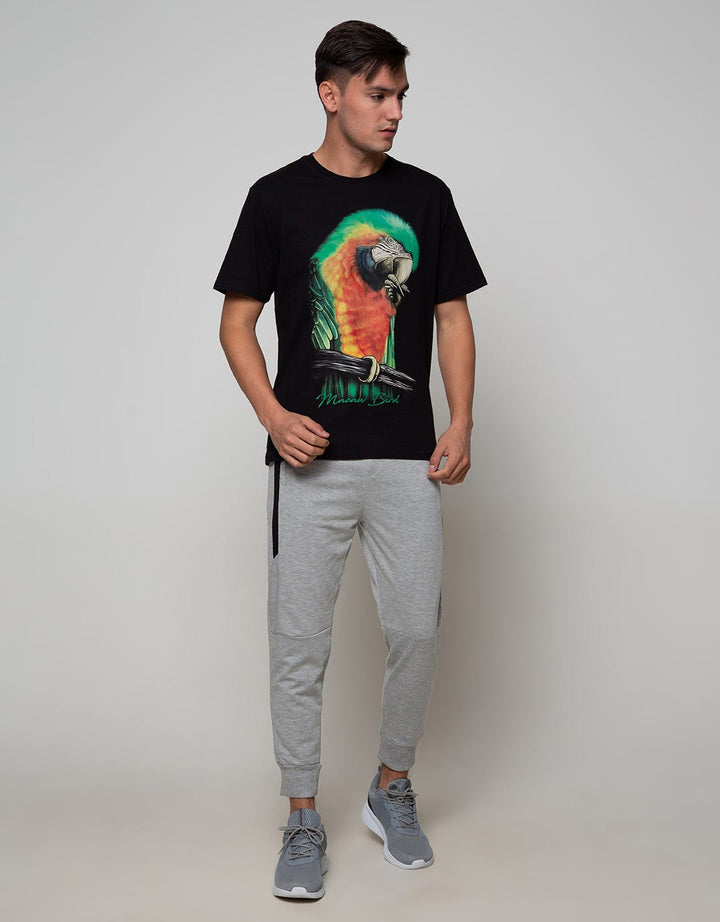 Nevada Jogger Knit Fashion Pants