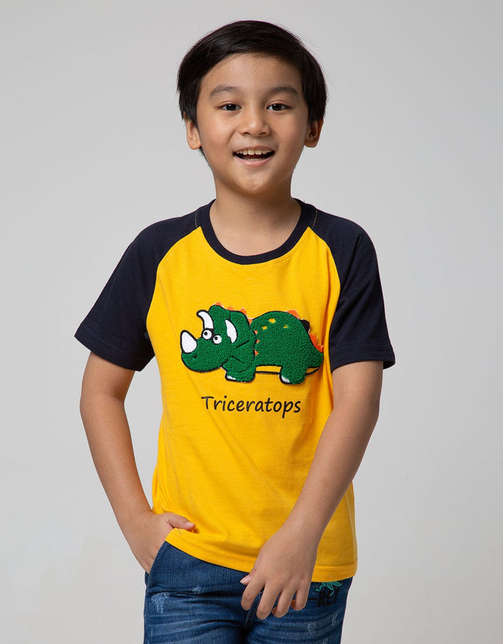 Little M Short Sleeve T-shirt Raglan Dino Towel