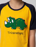 Little M Short Sleeve T-shirt Raglan Dino Towel