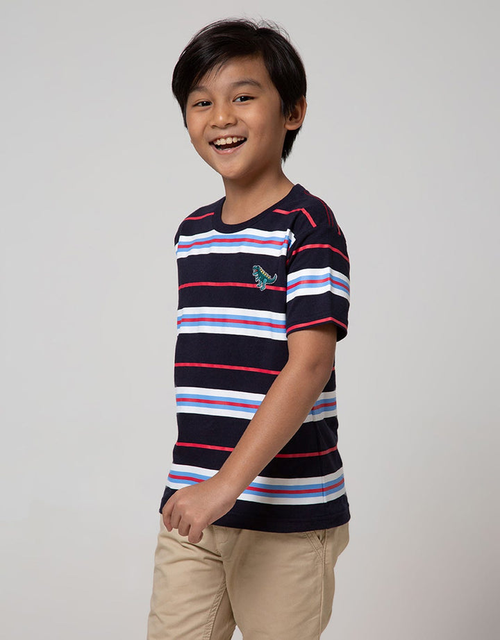 Little M Short Sleeve T-Shirt Stripe Print Dino Bordir