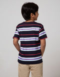 Little M Short Sleeve T-Shirt Stripe Print Dino Bordir