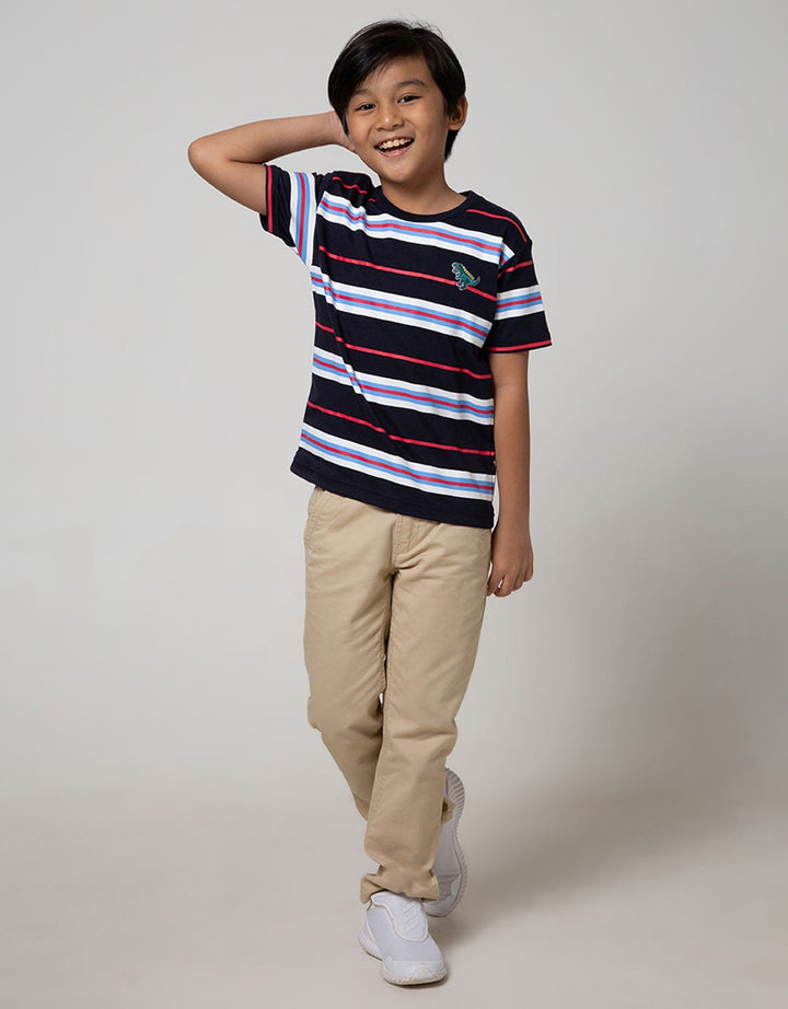 Little M Short Sleeve T-Shirt Stripe Print Dino Bordir