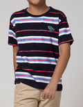 Little M Short Sleeve T-Shirt Stripe Print Dino Bordir