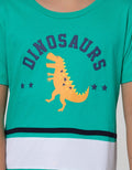 Little M Short Sleeve T-Shirt Cut N Sewn Mesh Dinosaurs