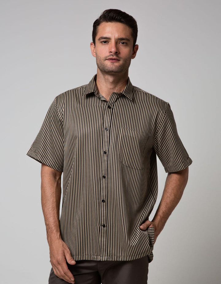 Stanley Adams Short Sleeve Shirt Stripe Regular Point Collar