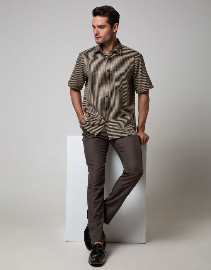 Stanley Adams Short Sleeve Shirt Stripe Regular Point Collar