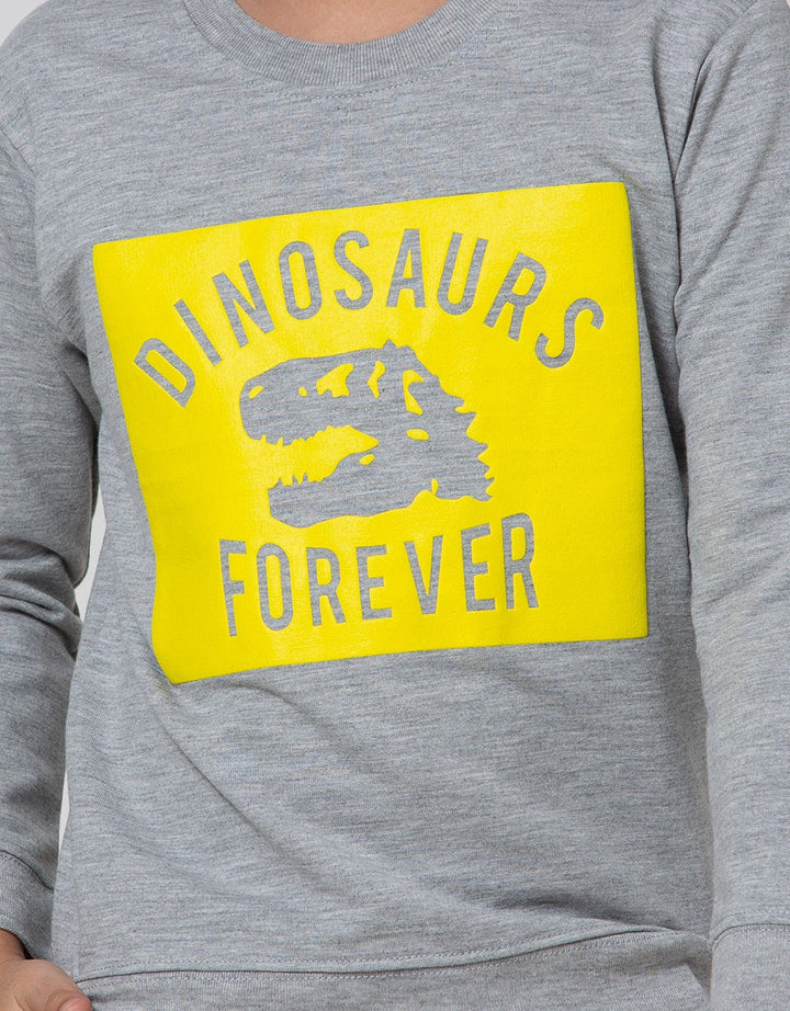 Little M Sweater Print Dada Dinosaurs Forever