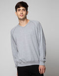 Cole Sweatshirt V Neck