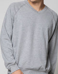 Cole Sweatshirt V Neck