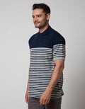 Cole Short Sleeve Polo Shirt Stripe