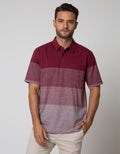 Cole Polo Shirt Stripe