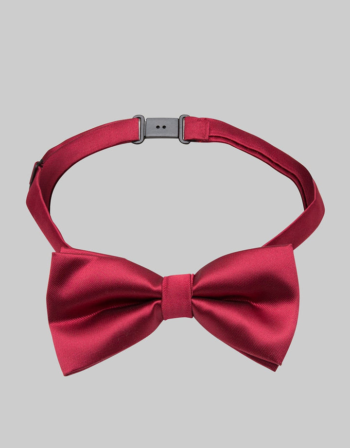 Izzue Elegant Tie