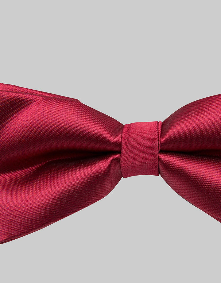 Izzue Elegant Tie