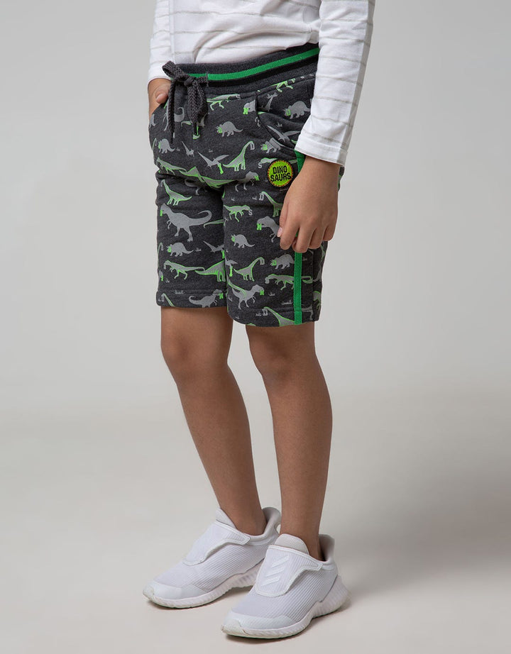 Little M Short Pants Knit Terry Fullprint Dino Twilltape Rib