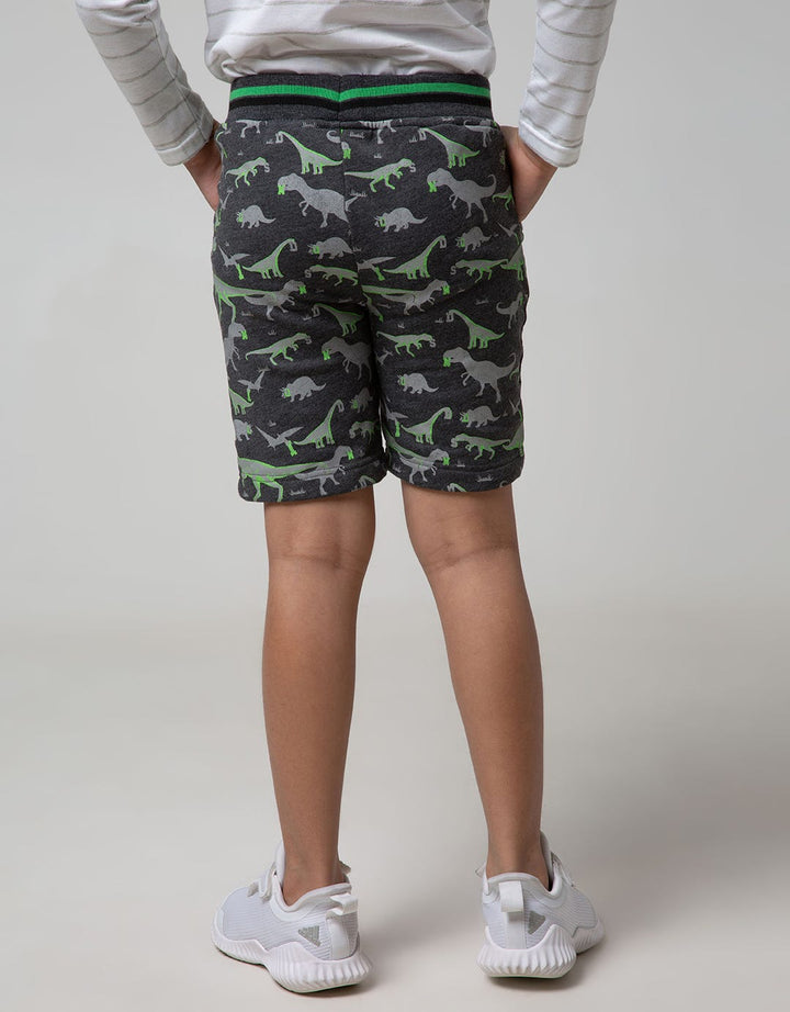 Little M Short Pants Knit Terry Fullprint Dino Twilltape Rib