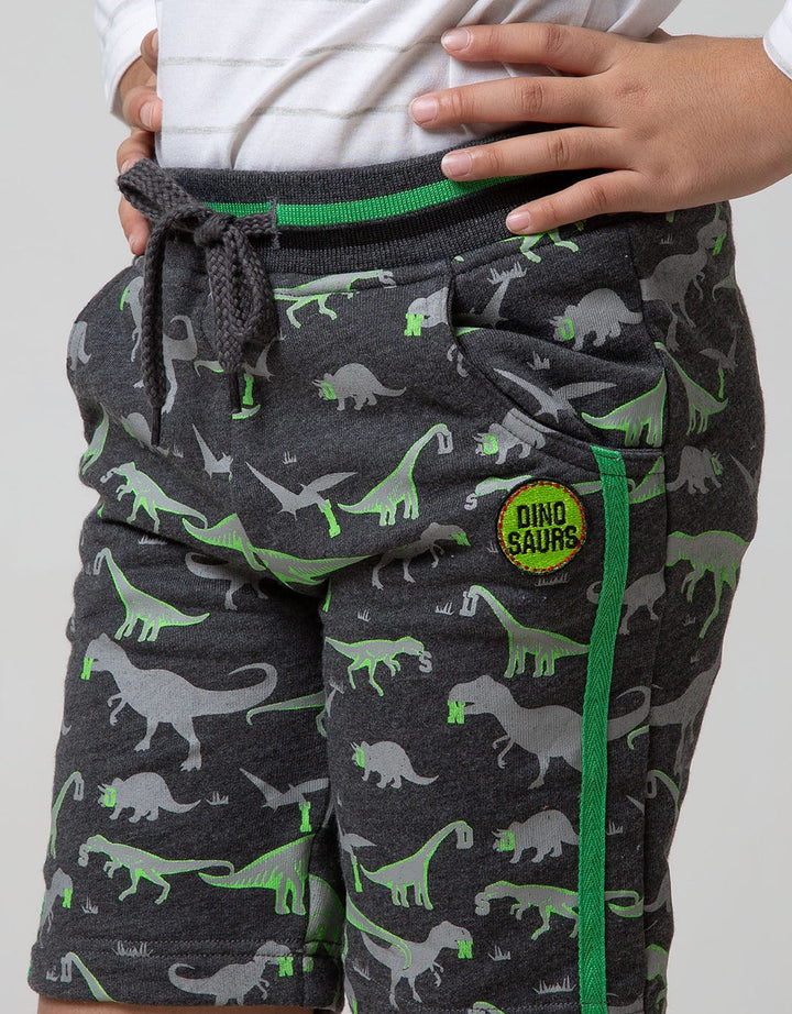 Little M Short Pants Knit Terry Fullprint Dino Twilltape Rib