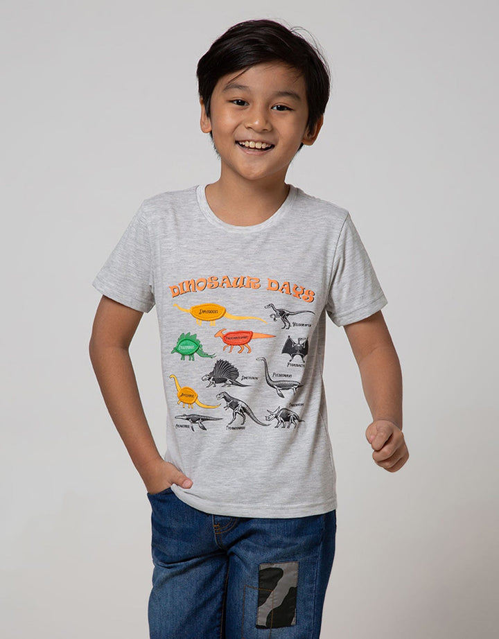 Little M Short Sleeve T-Shirt Print Dino Flip
