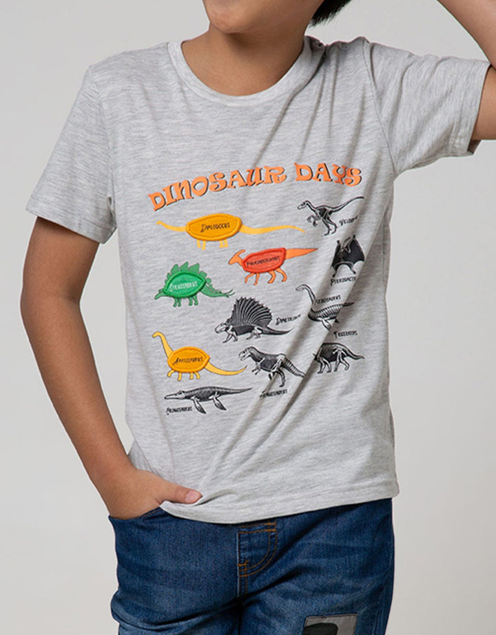 Little M Short Sleeve T-Shirt Print Dino Flip