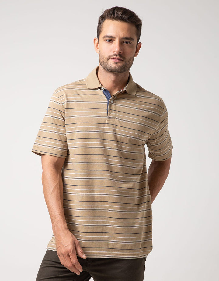 Cole Polo Shirt Stripe