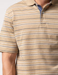 Cole Polo Shirt Stripe