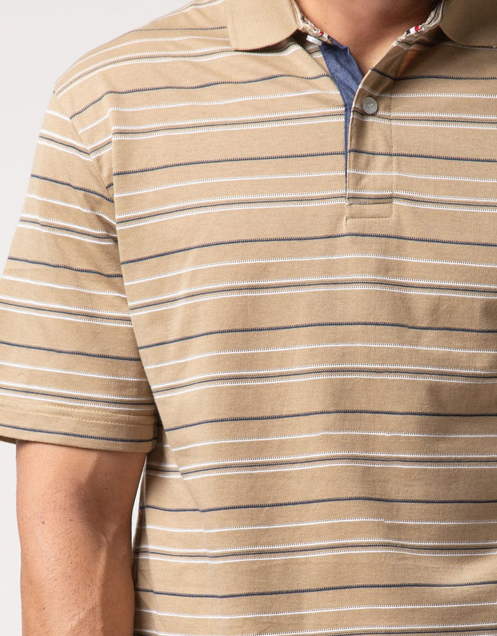 Cole Polo Shirt Stripe