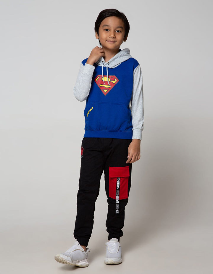 Character Sweater Superman Hood Logo