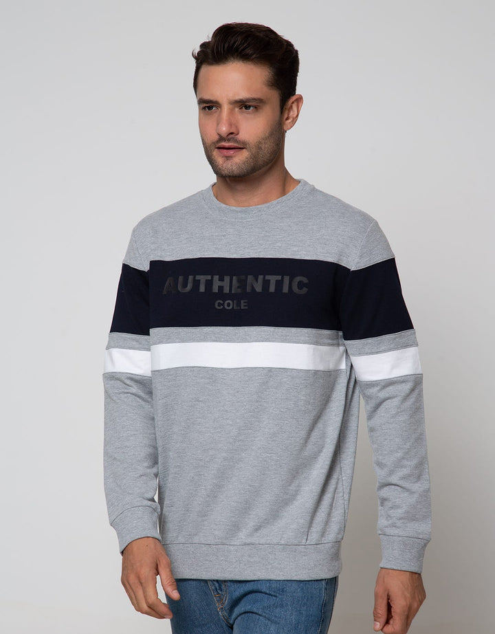 SWEATSHIRT RAGLAN SW
