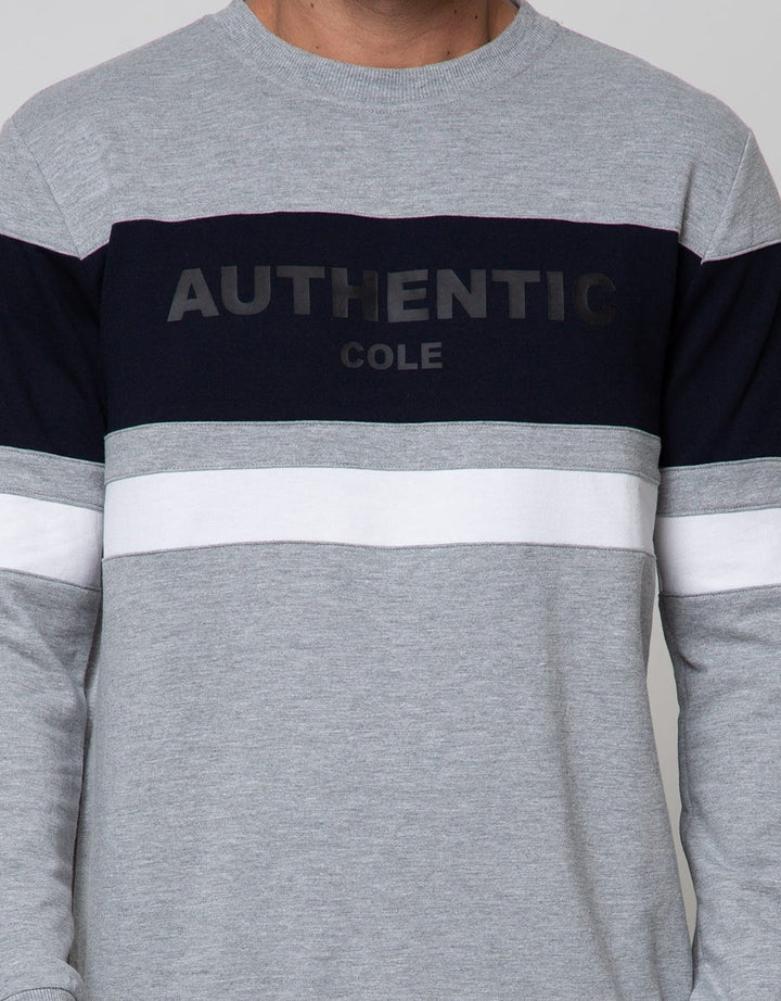 SWEATSHIRT RAGLAN SW