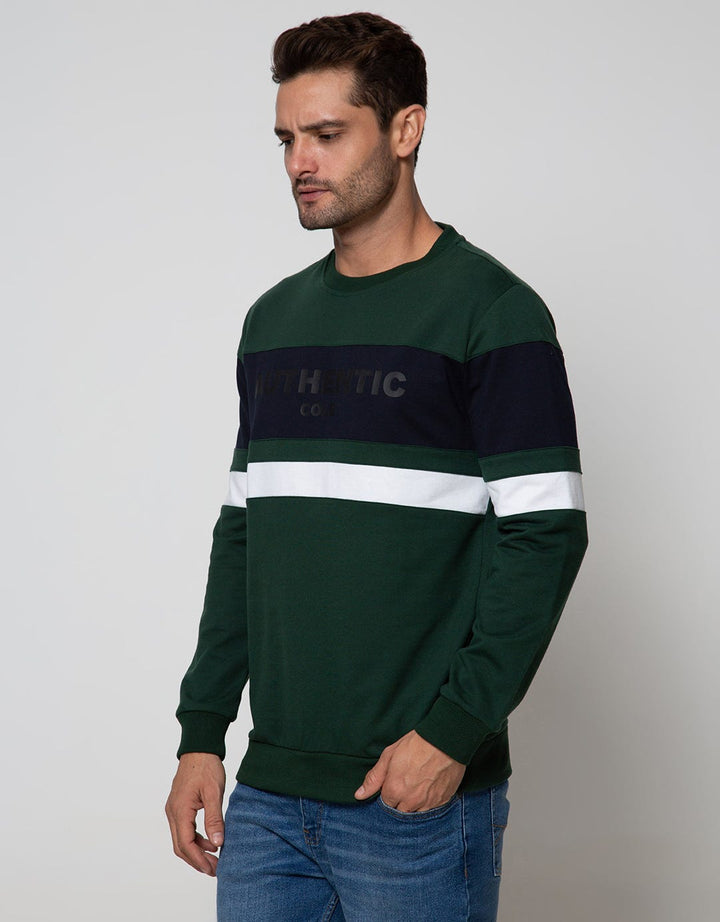SWEATSHIRT RAGLAN SW