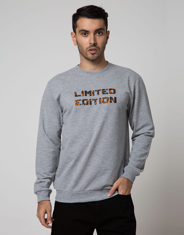 Details Sweatshirt Jumper Long Sleeve Round Neck Print Hidden City Splash