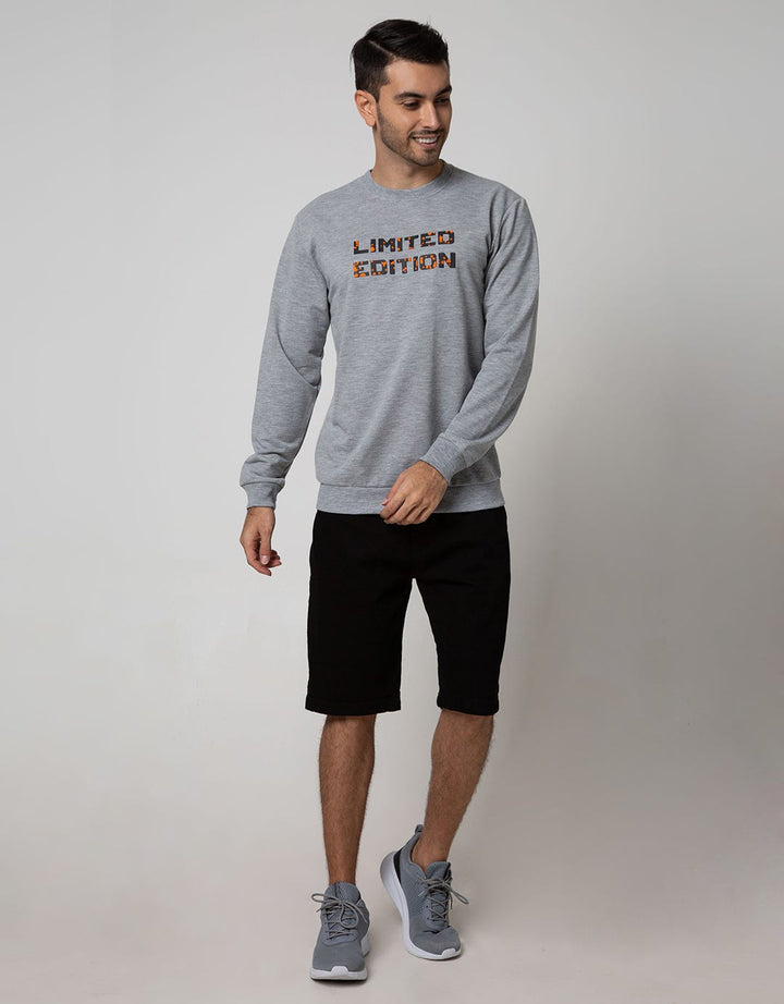 Details Sweatshirt Jumper Long Sleeve Round Neck Print Hidden City Splash