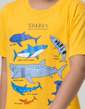 Little M Short Sleeve T-Shirt Best Buy Sharks