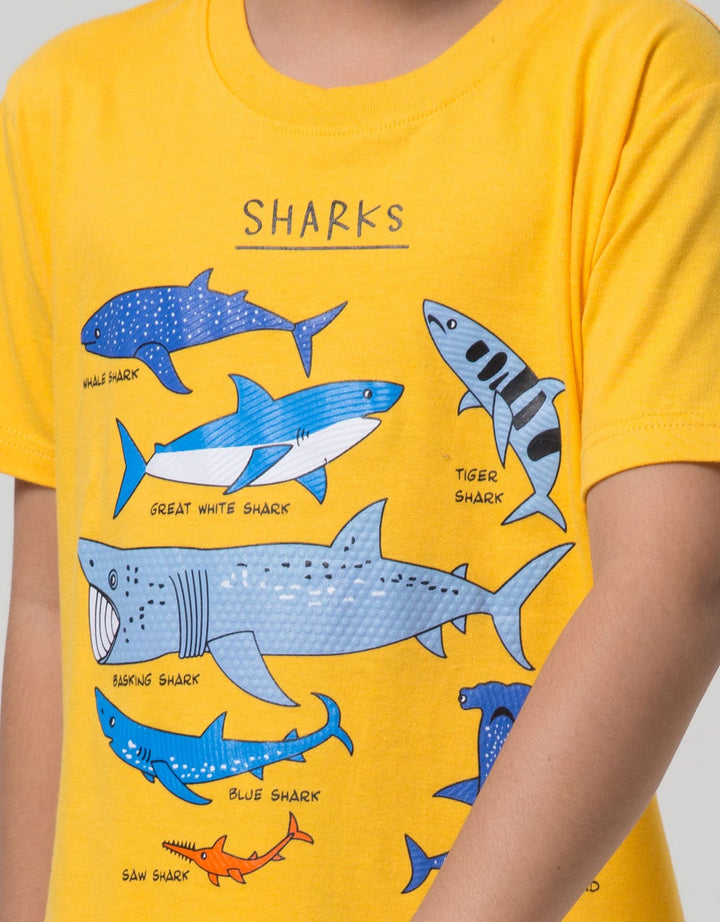 Little M Short Sleeve T-Shirt Best Buy Sharks
