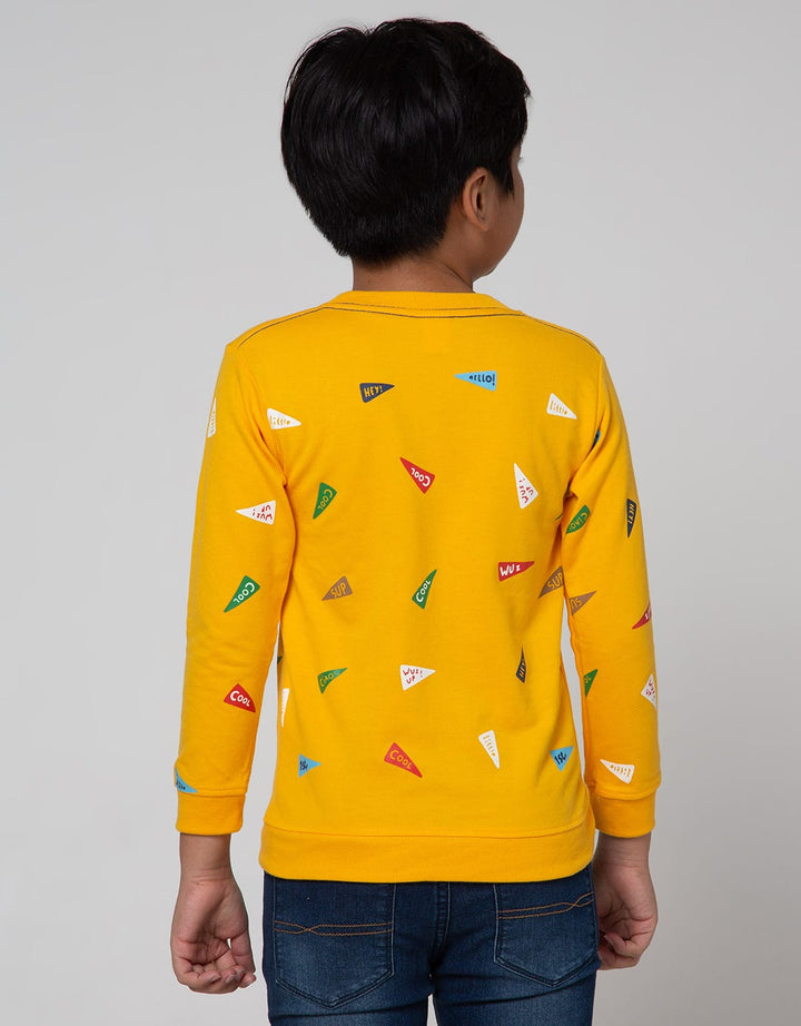 Little M Fullprint Awesome Boy Sweater
