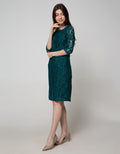 Expand Modest Dress Embro