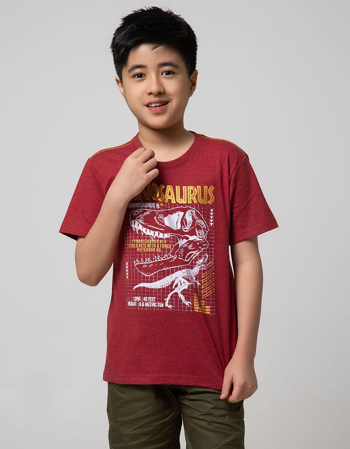Aero Kids Short Sleeve T-Shirt Printnofloc Regular Patern Tyranosau