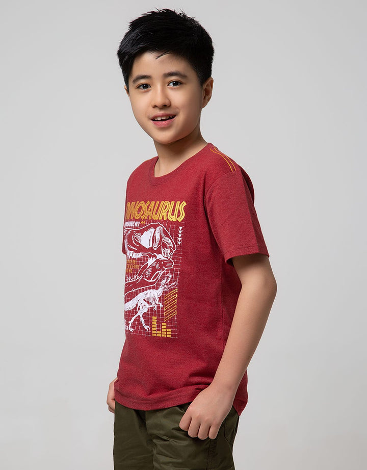 Aero Kids Short Sleeve T-Shirt Printnofloc Regular Patern Tyranosau