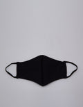 Nevada Face Mask Adult This Is A