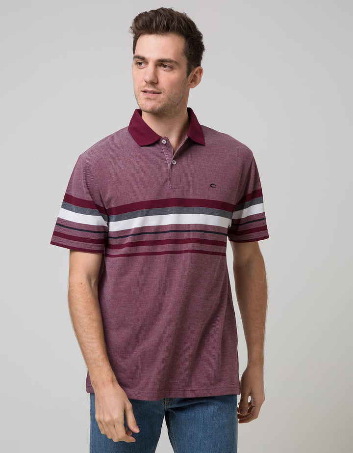 Cole Short Sleeve Polo Shirt Stripe